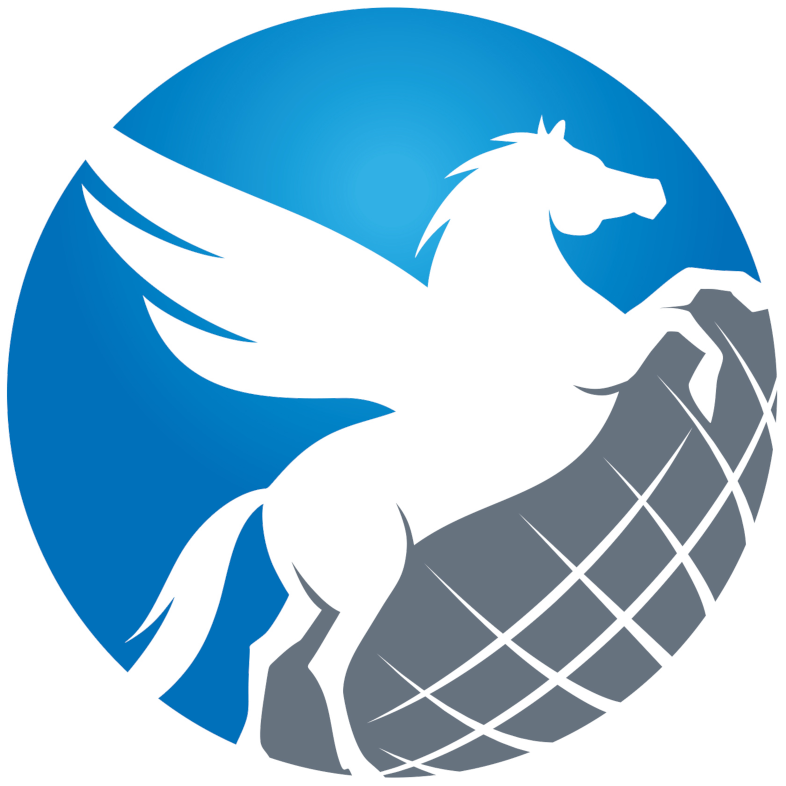 Pegasus Executive Group